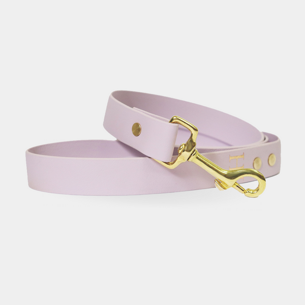 leash PURPLE SEA