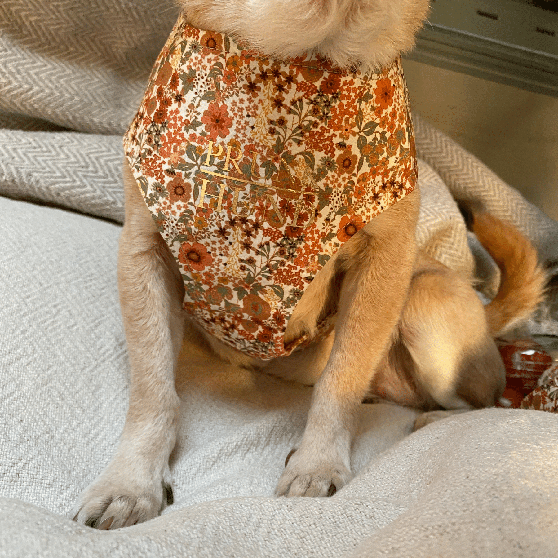 FIORE soft harness