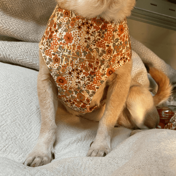 FIORE soft harness
