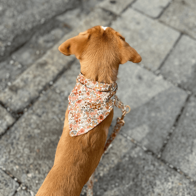 Hundehalstuch FIORE