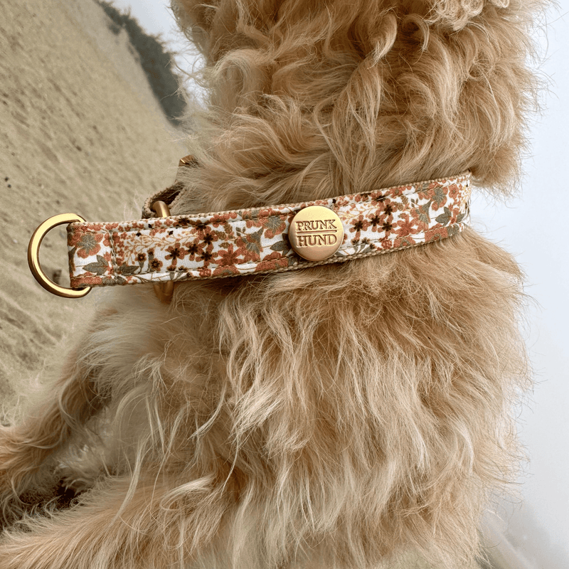 Zugstopp Halsband FIORE