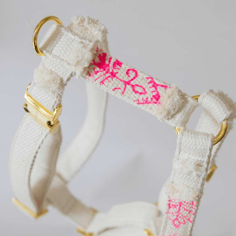 Geschirr NOMAD fuchsia
