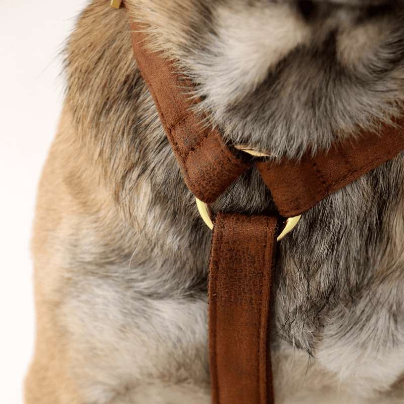 TRAVELER dog harness
