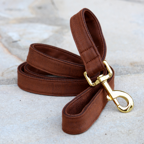 TRAVELER leash