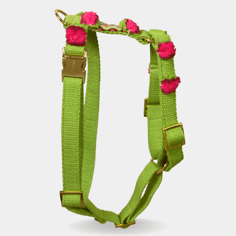 Boho dog harness 2025