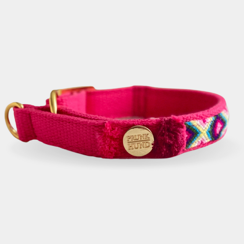 Martingale collar NOMAD pink