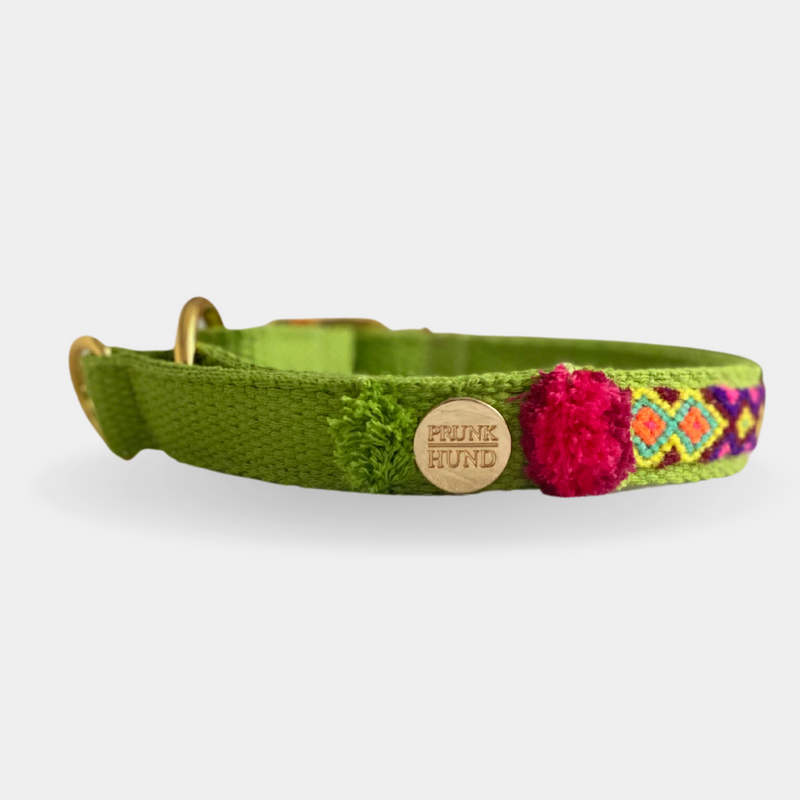 Martingale collar NOMAD lime