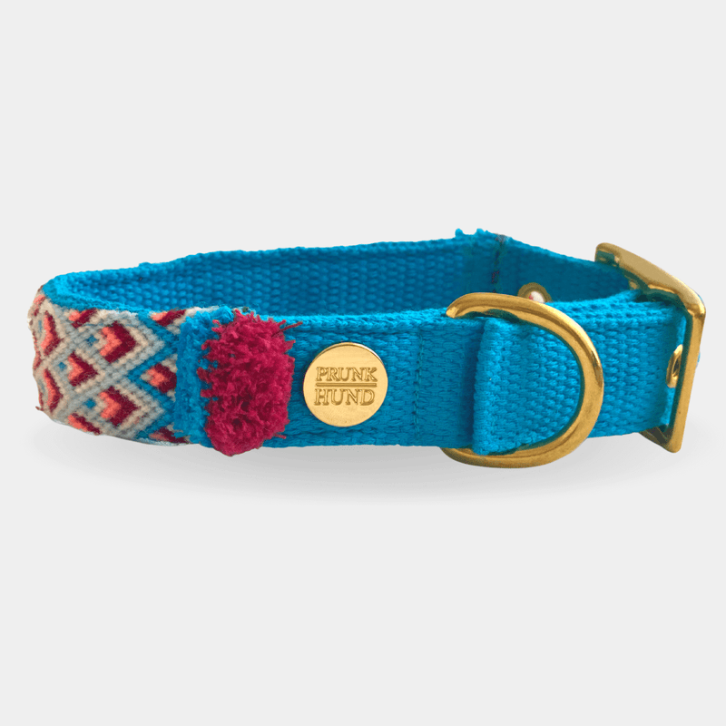 Halsband NOMAD azur