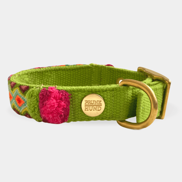 Collar NOMAD lime