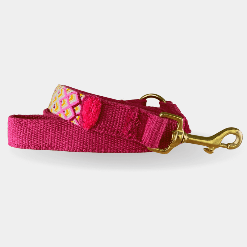 Leash NOMAD berry