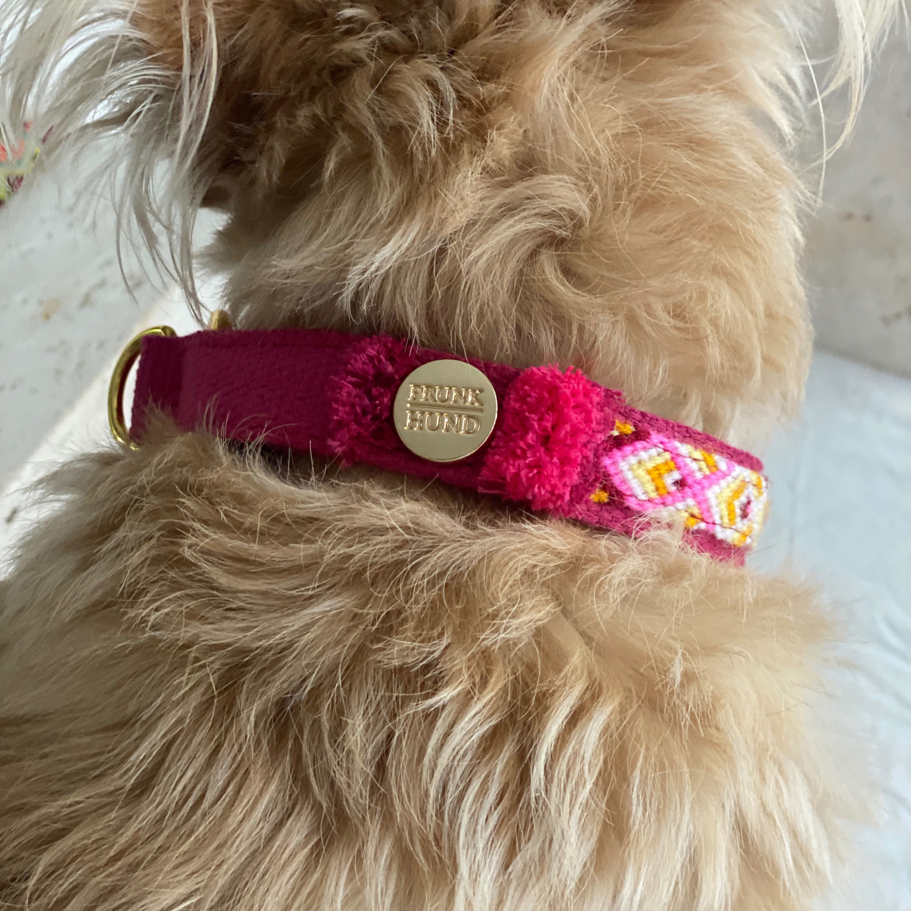 Martingale collar NOMAD berry