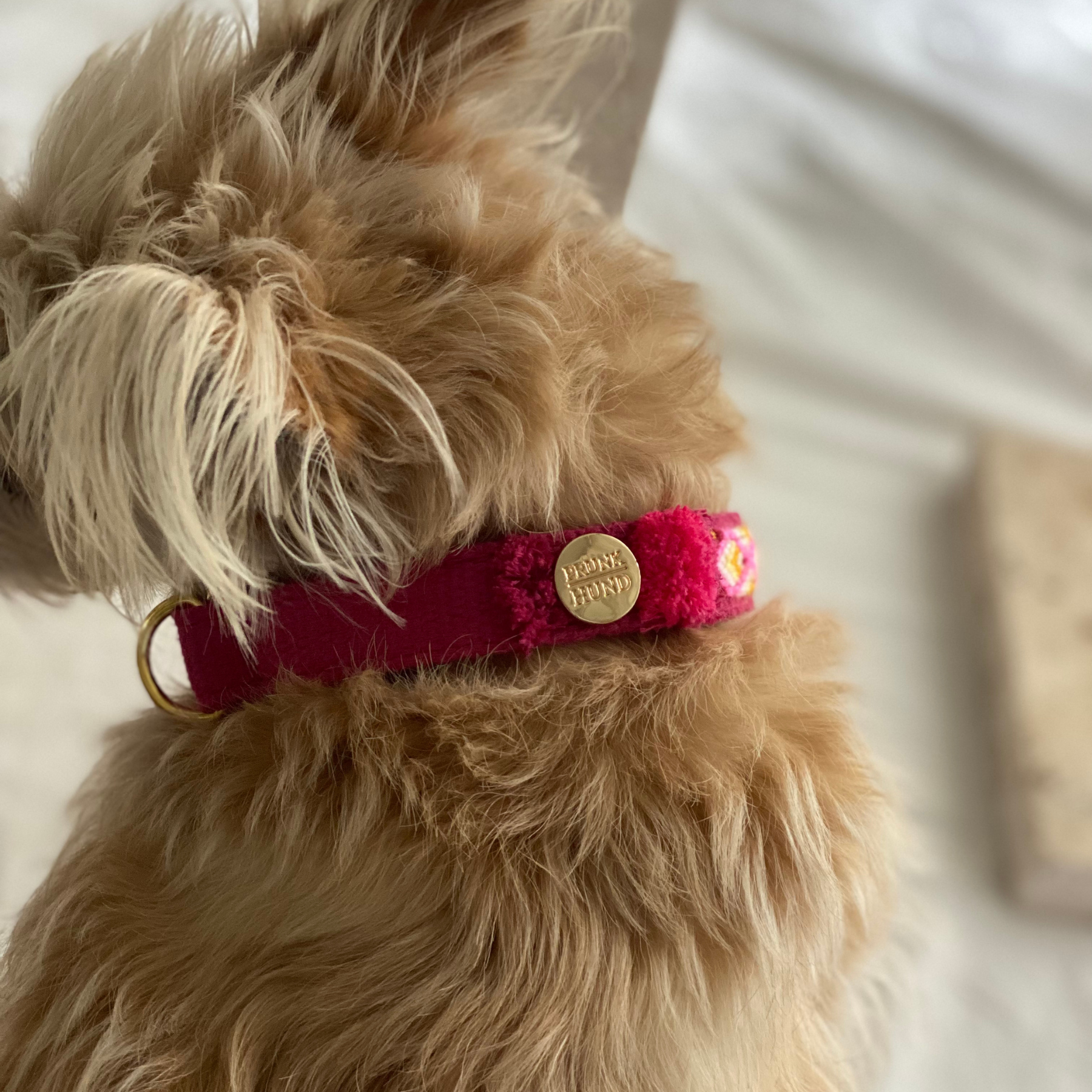 Martingale collar NOMAD berry