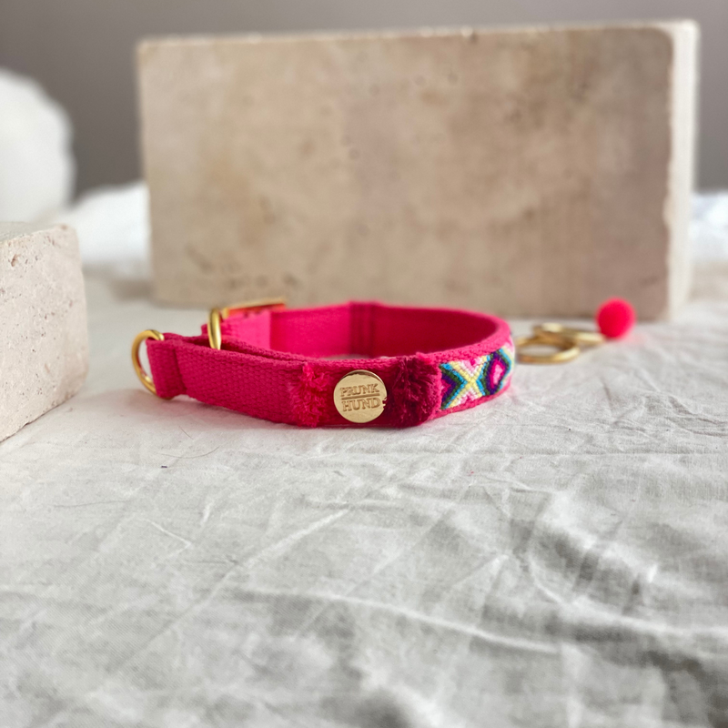 Martingale collar NOMAD pink