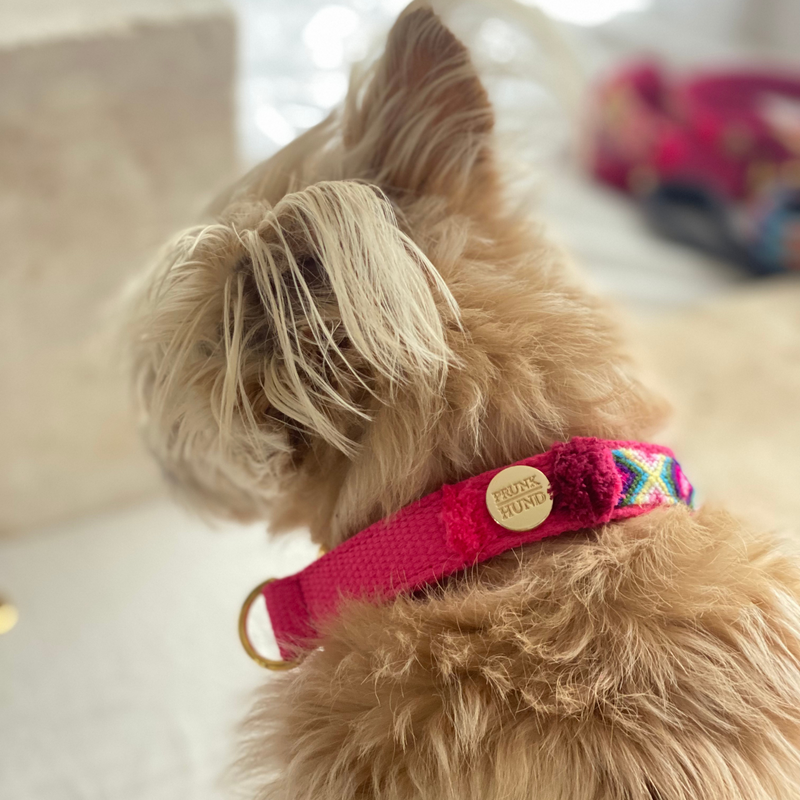 Martingale collar NOMAD pink
