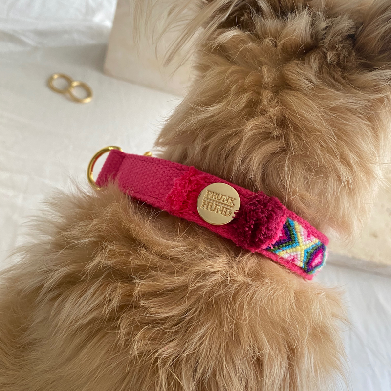 Martingale collar NOMAD pink