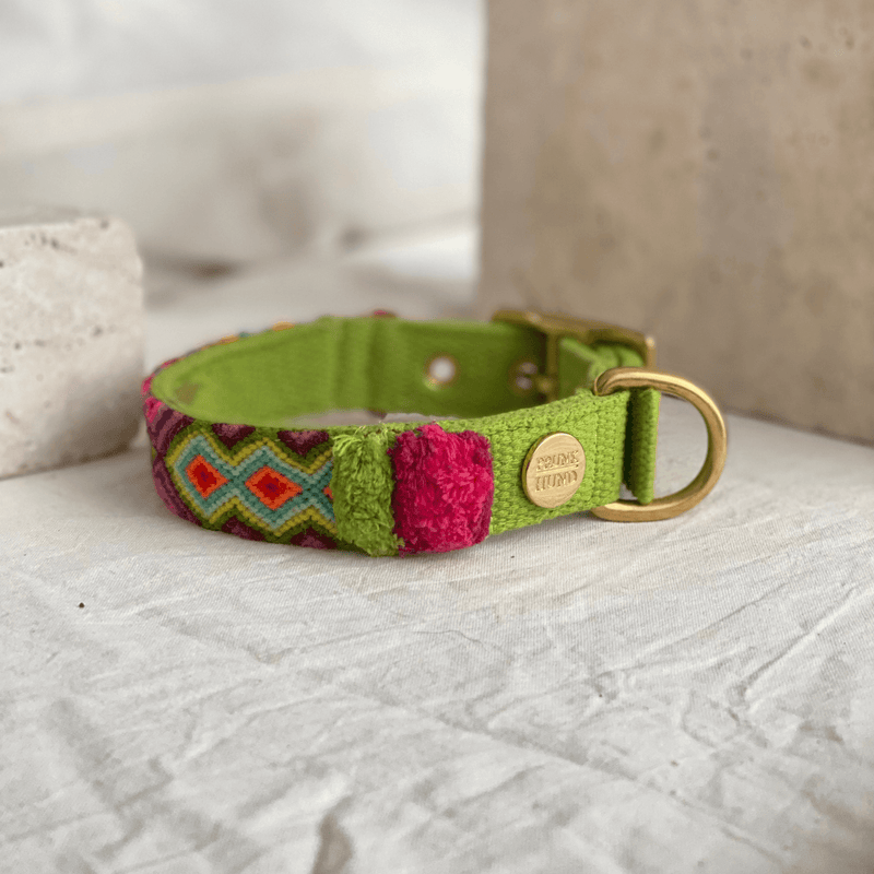 Halsband NOMA lime