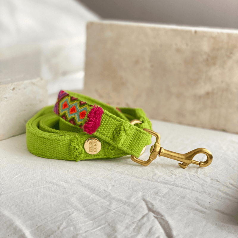 Leash NOMAD lime