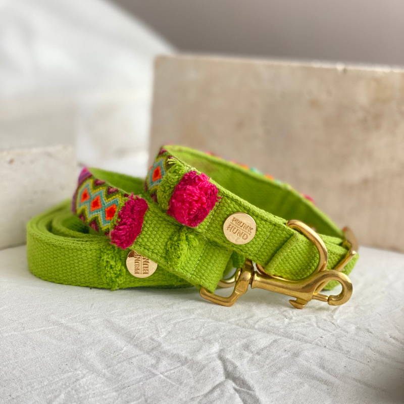 Leash NOMAD lime