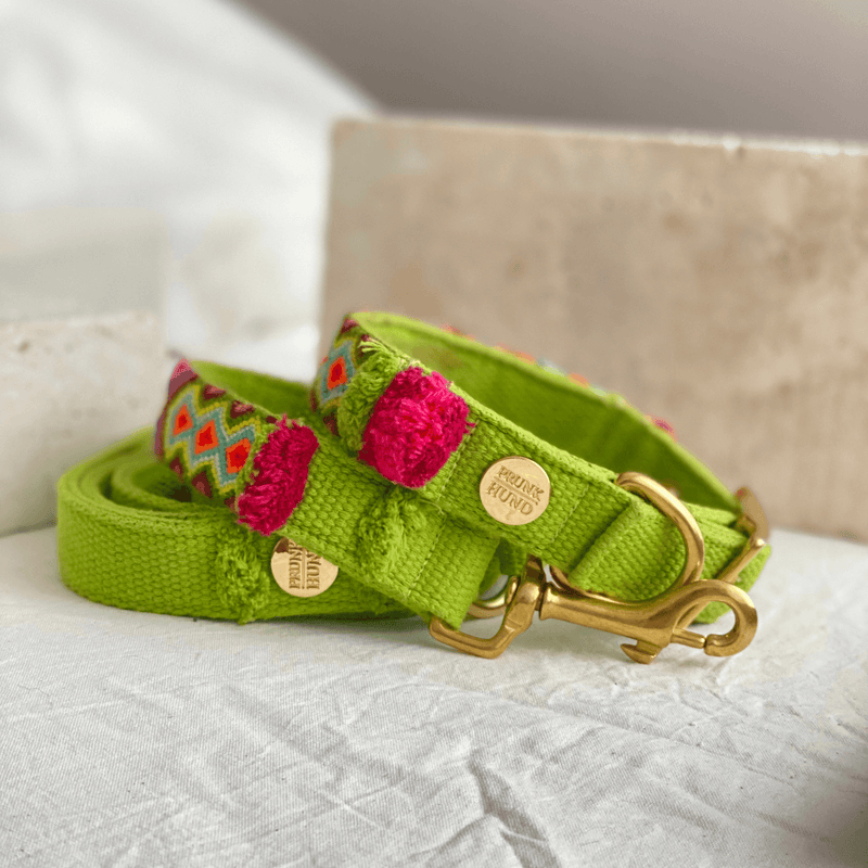 Halsband NOMA lime