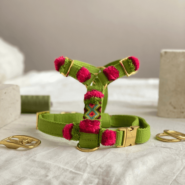 grünes, buntes Hundegeschirr im Boho Style für große und kleine Hunde aus Baumwolle - Prunkhund