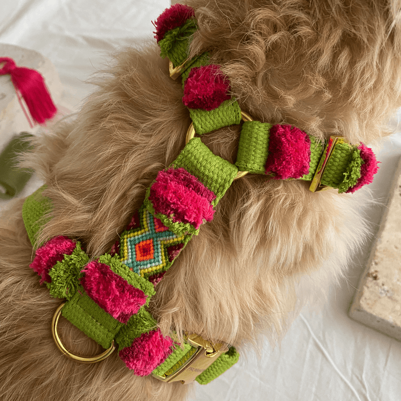 grünes, buntes Hundegeschirr im Boho Style für große und kleine Hunde aus Baumwolle - Prunkhund