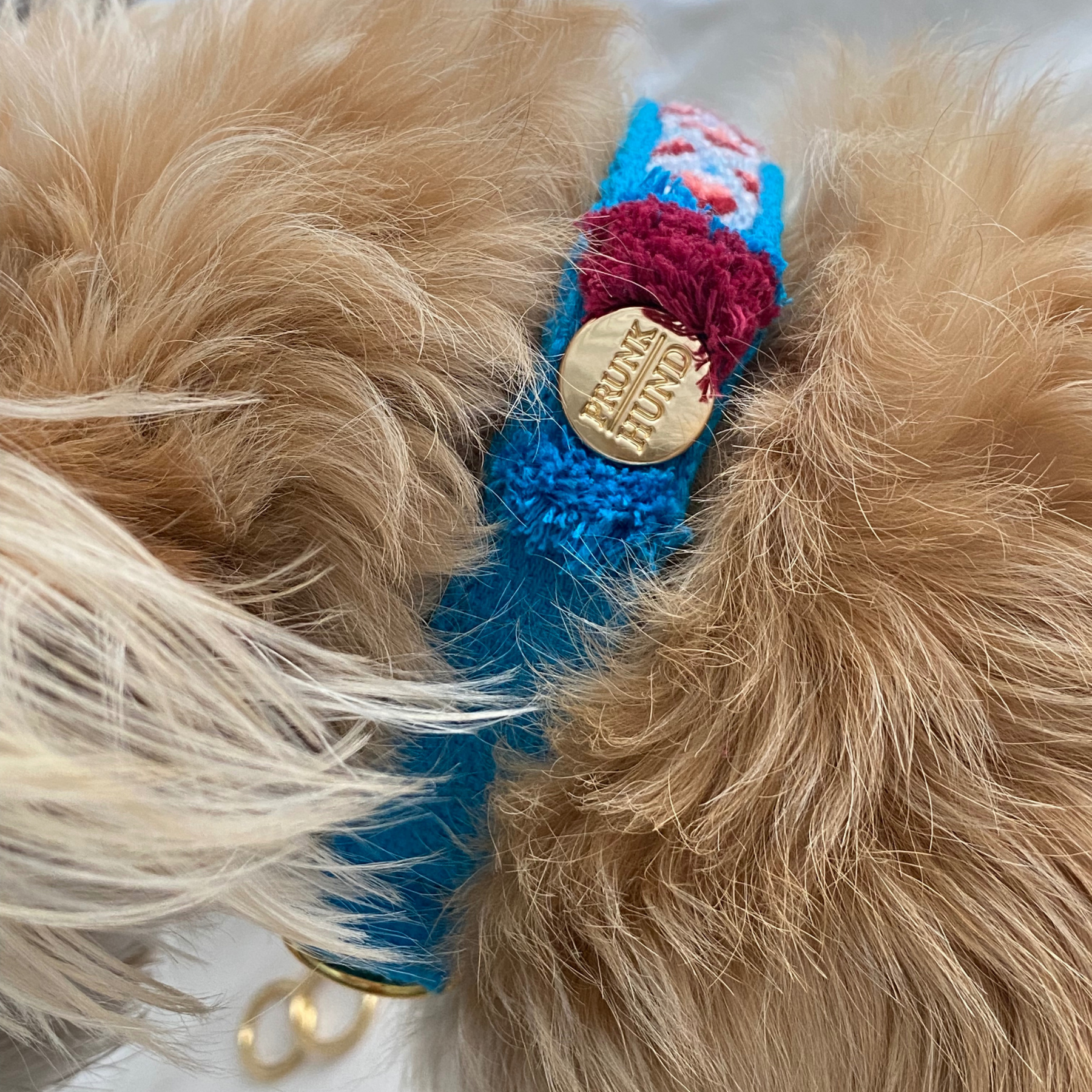Martingale collar NOMAD azure