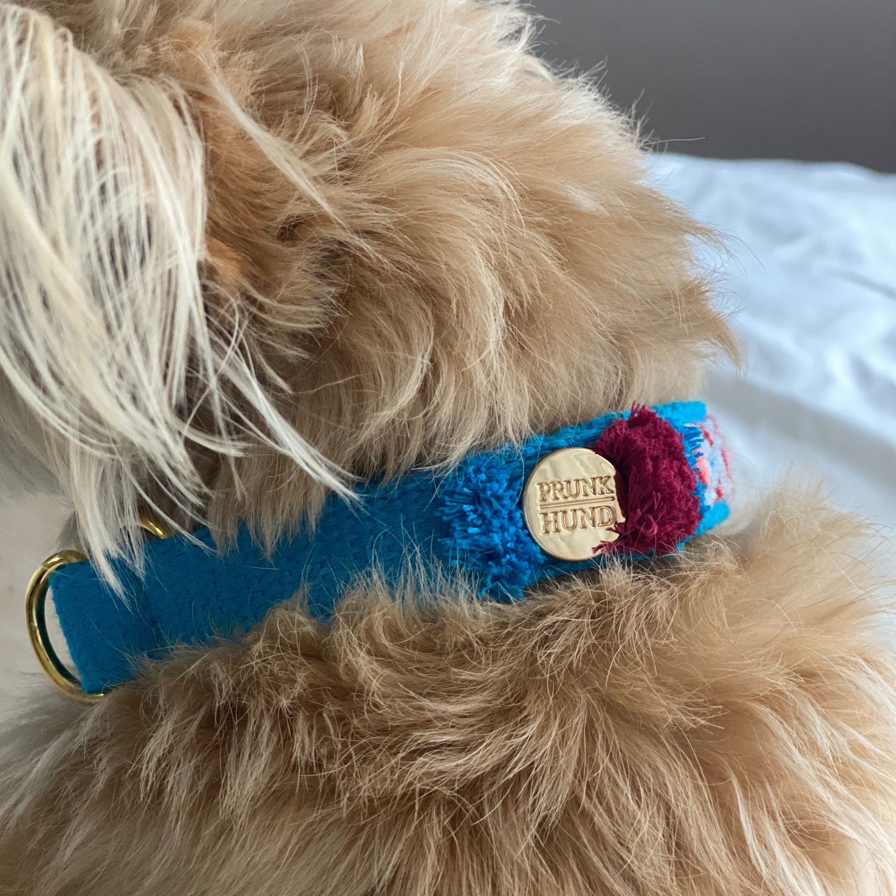 Martingale collar NOMAD azure