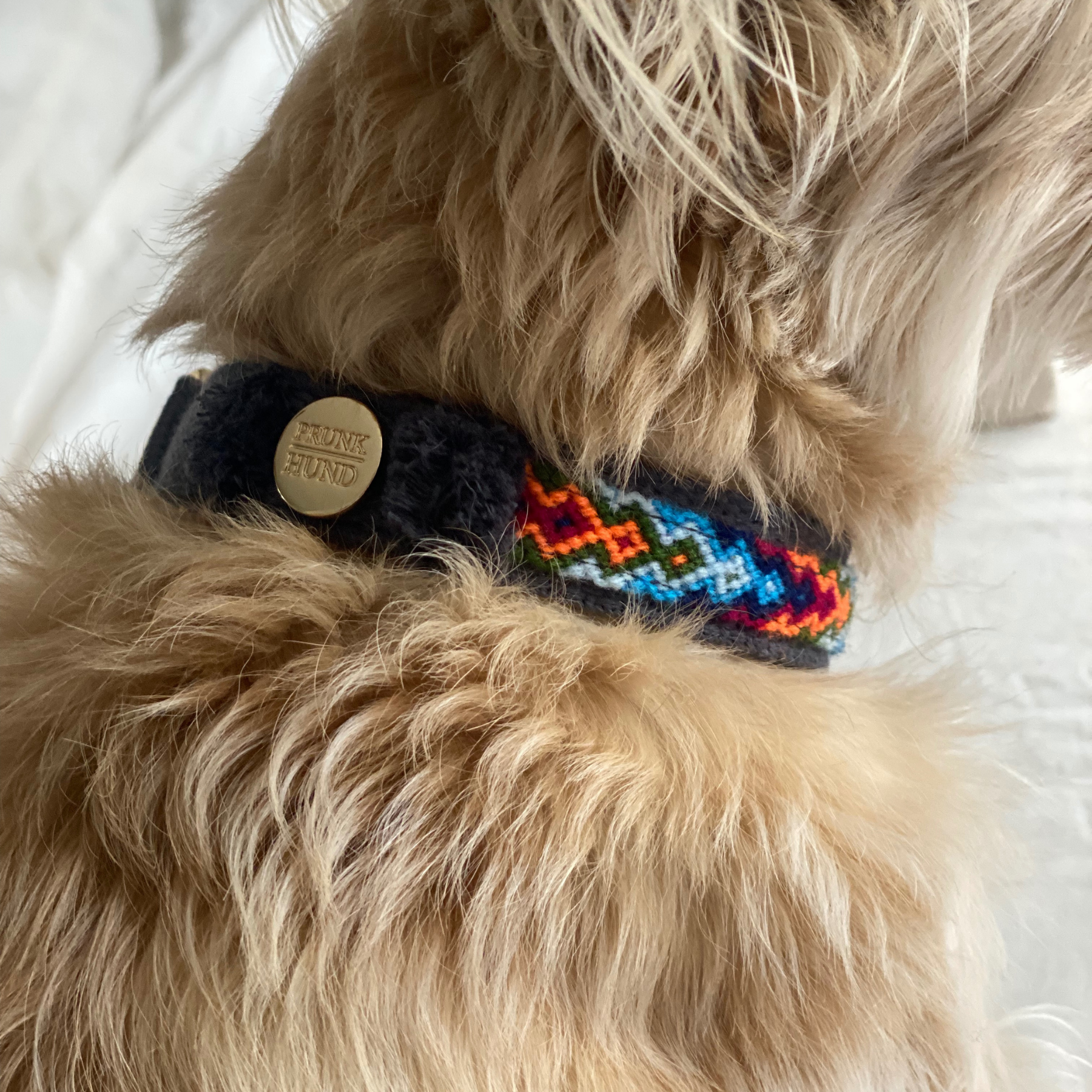 Martingale collar NOMAD indigo