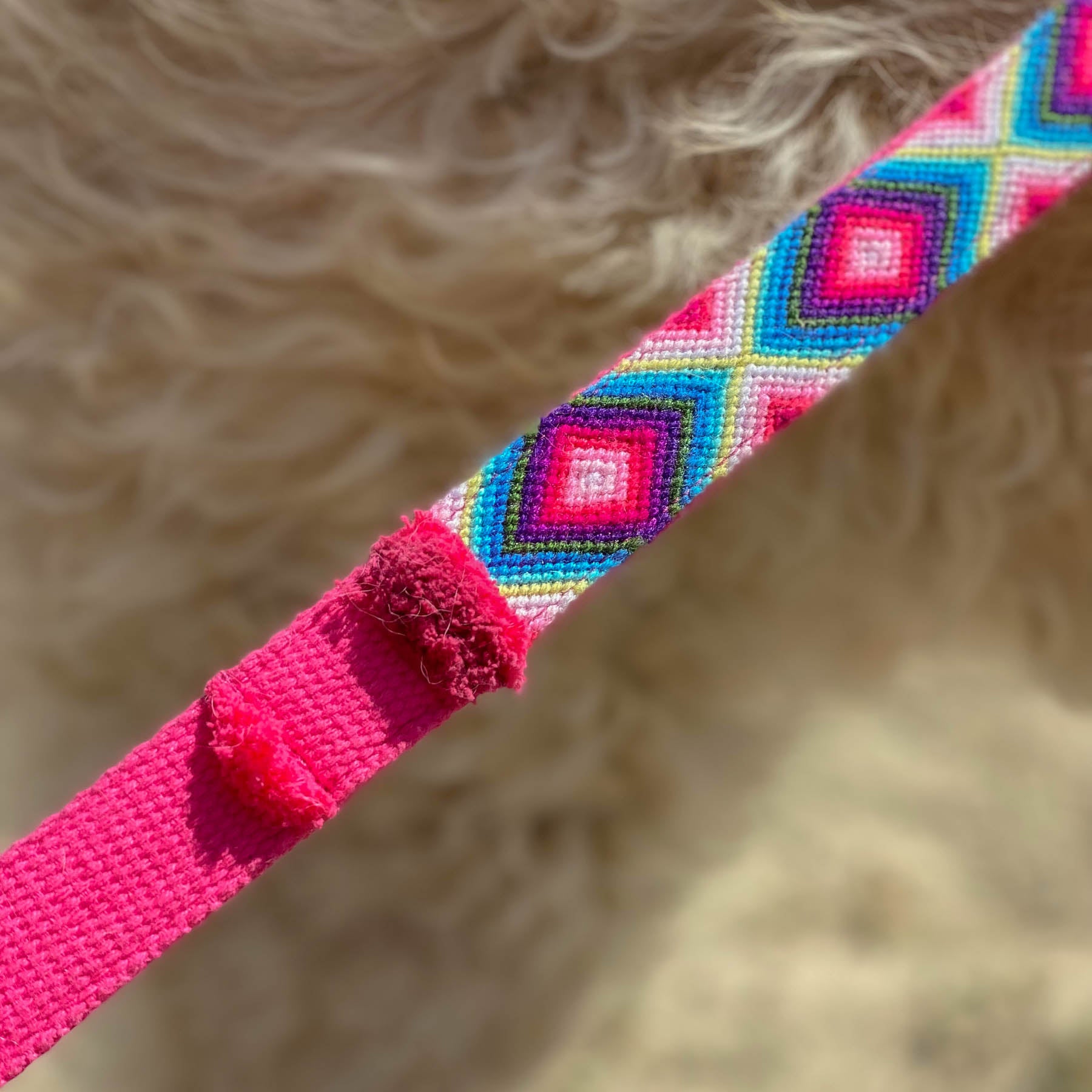 Leash NOMAD pink