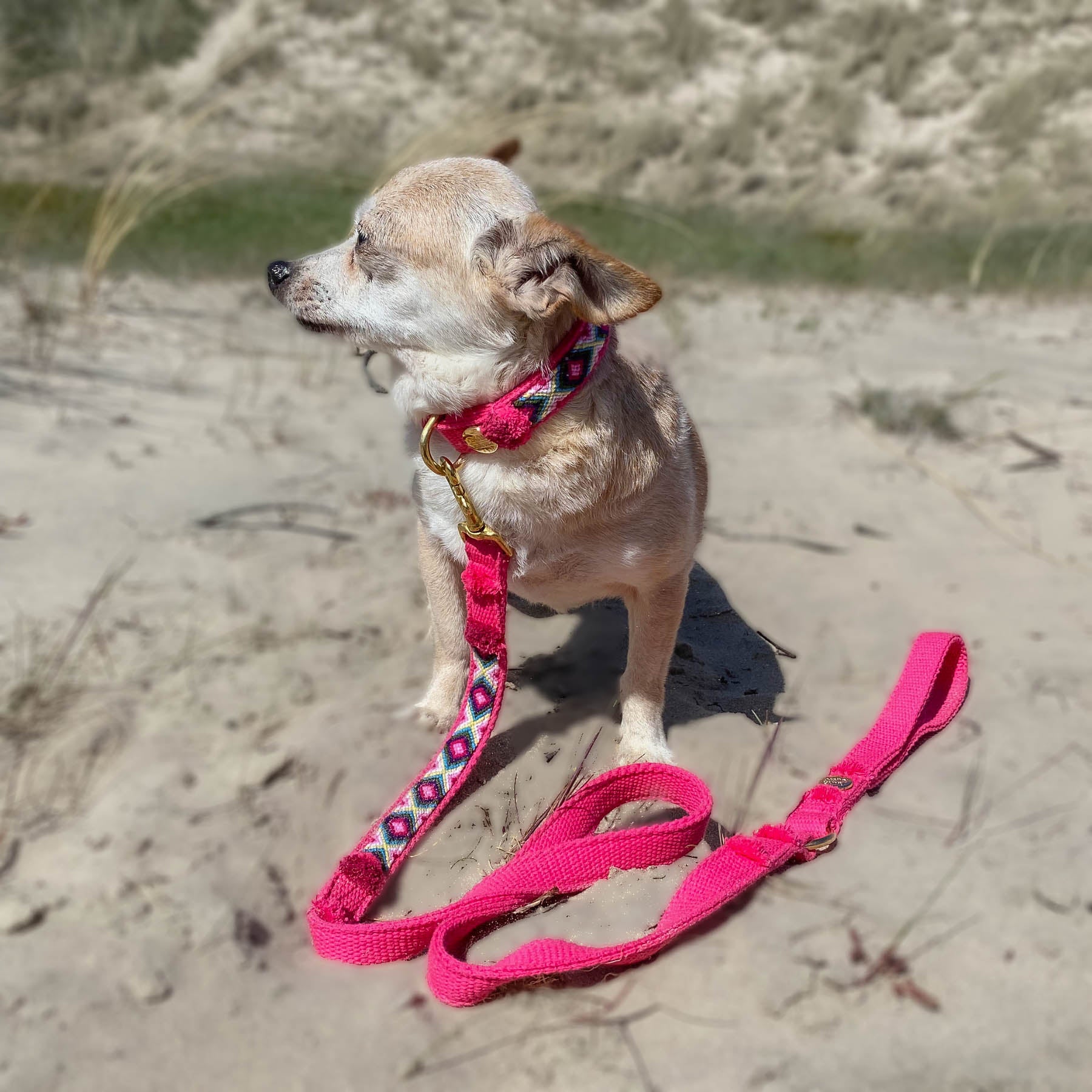 Leash NOMAD pink
