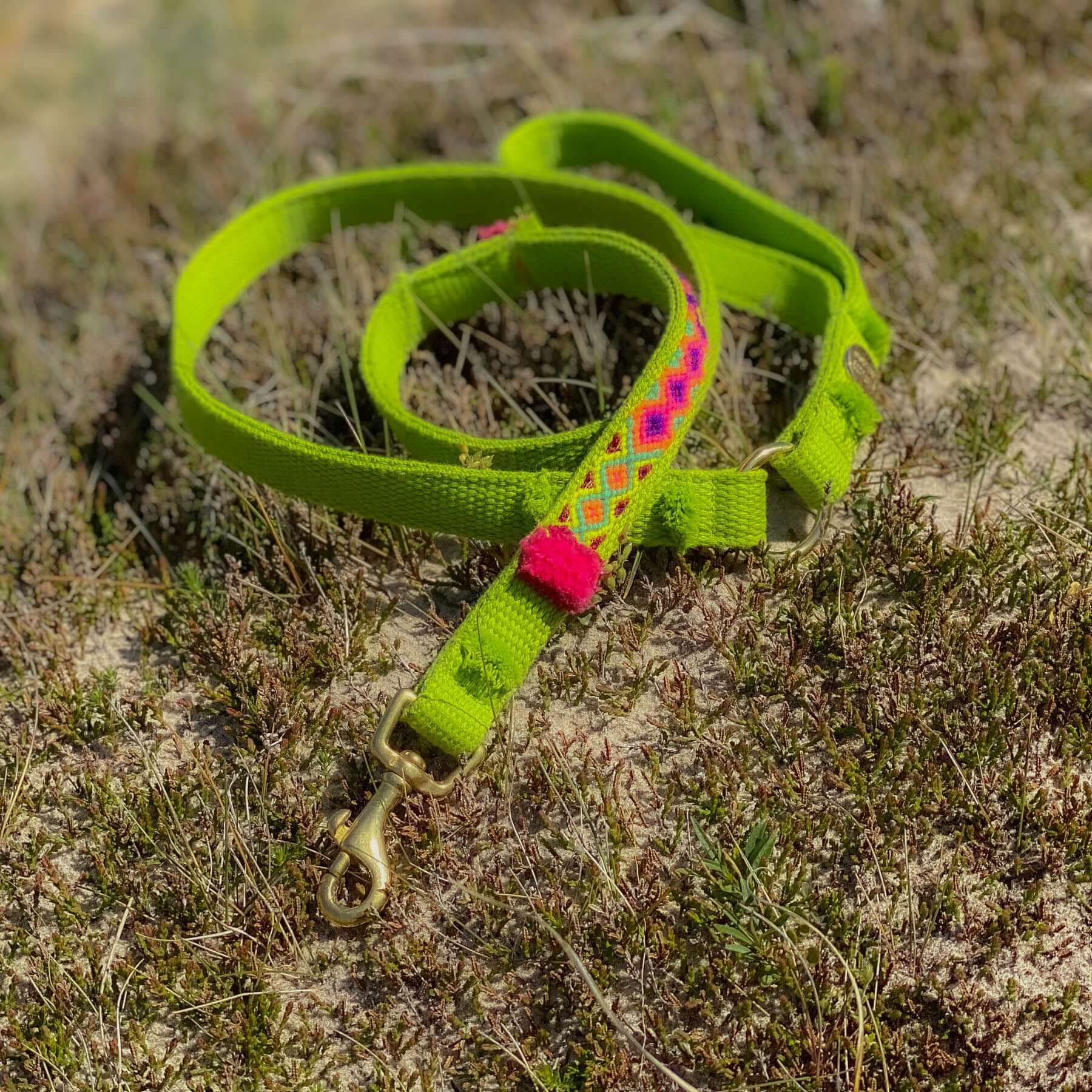 Leash NOMAD lime