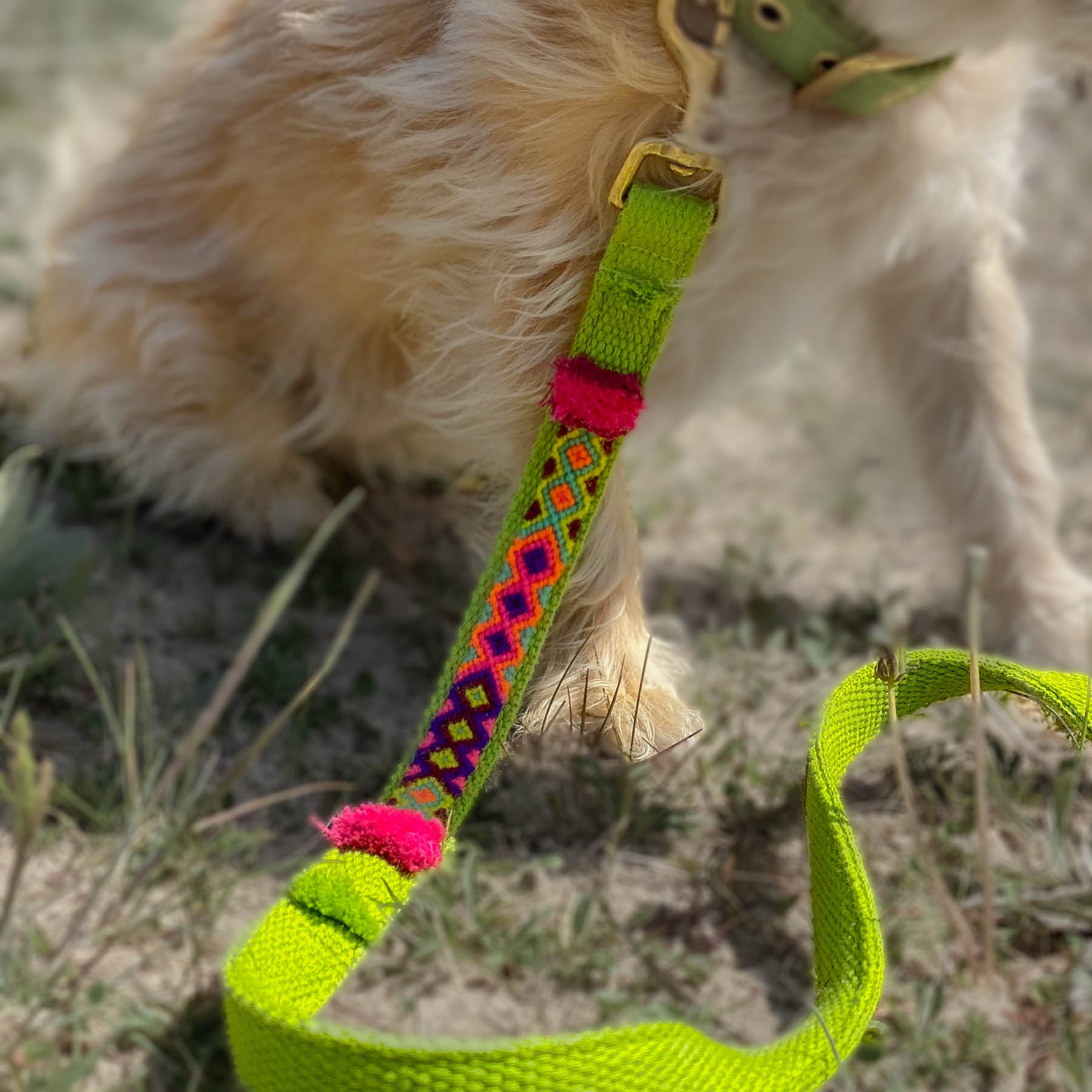 Leash NOMAD lime