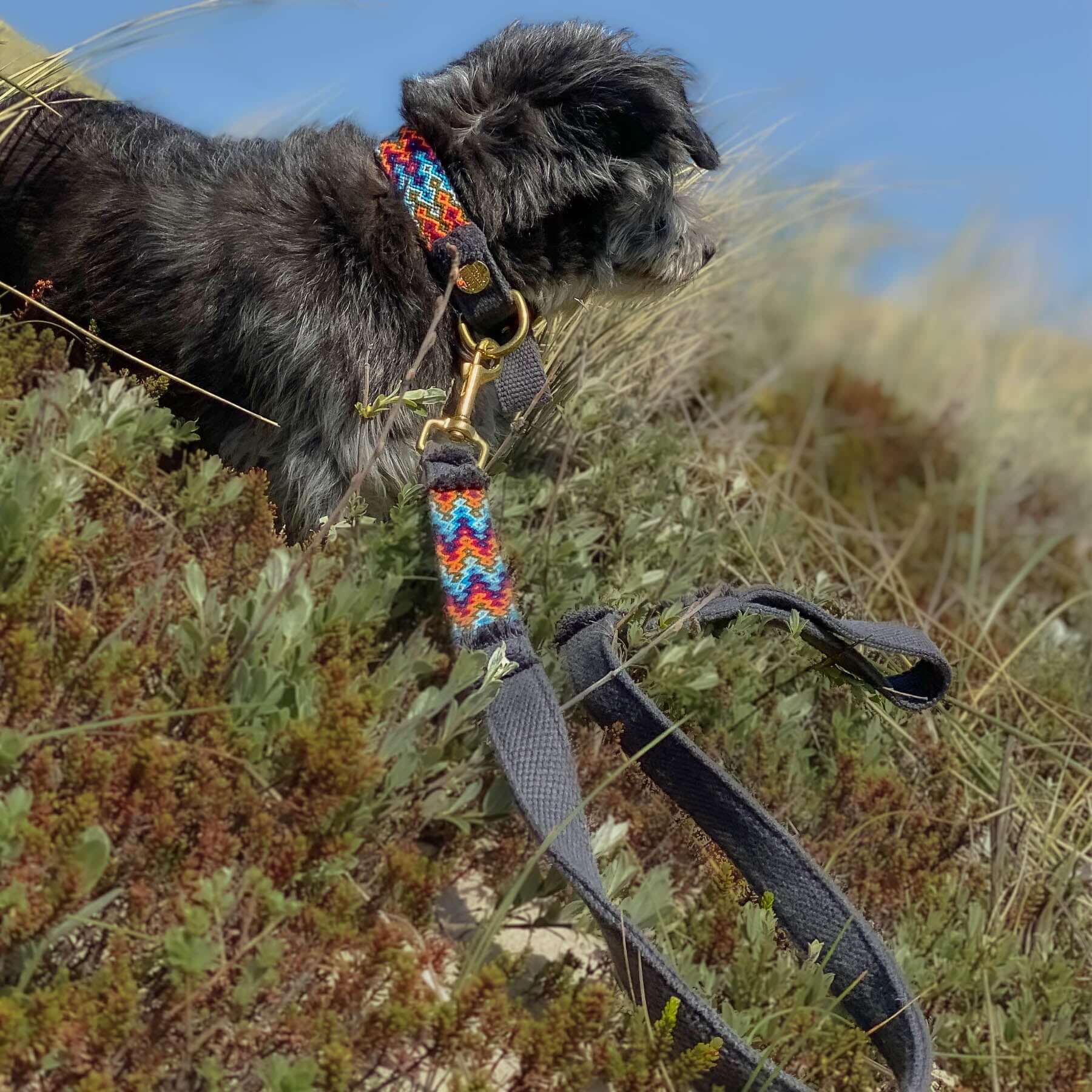 Leash NOMAD indigo