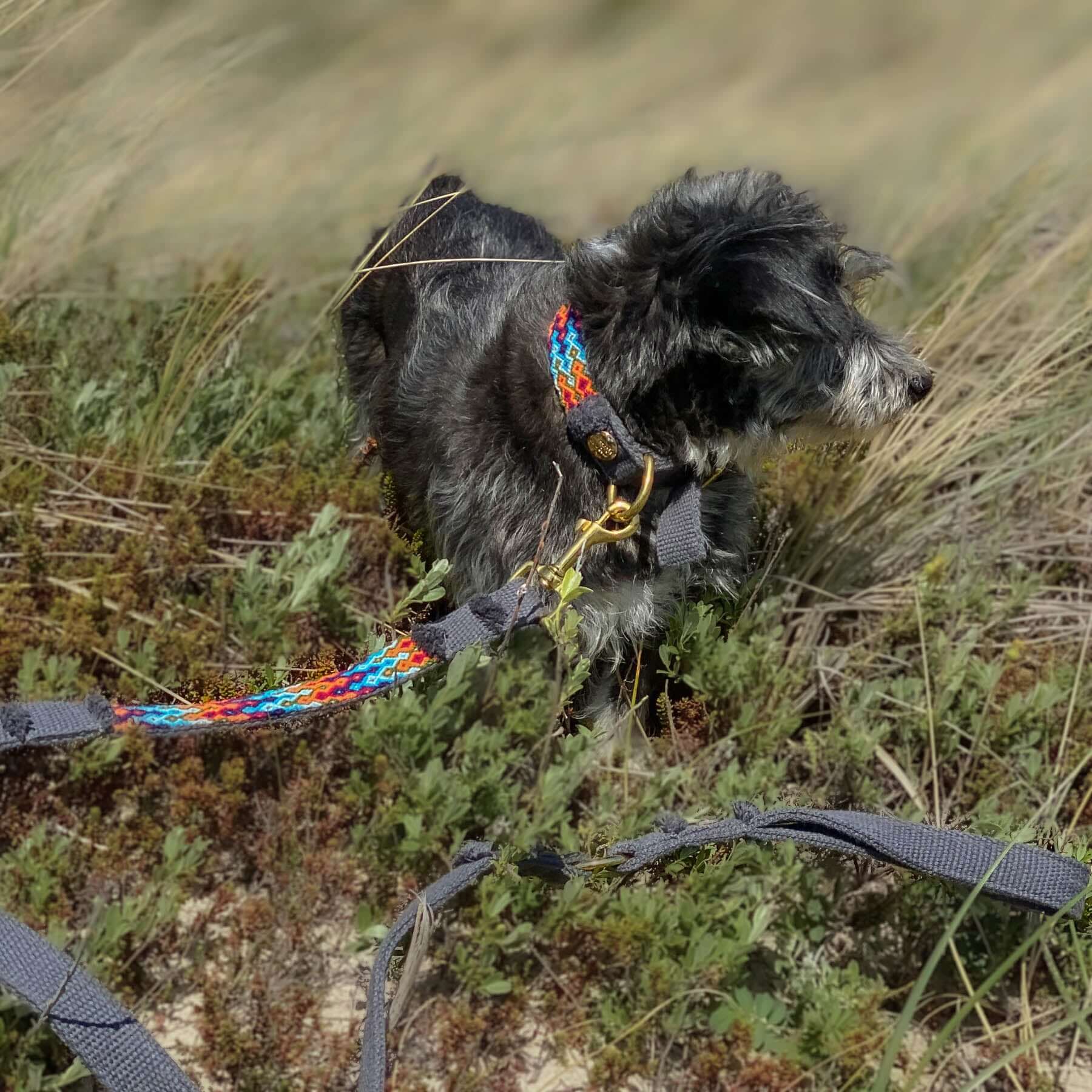 Leash NOMAD indigo