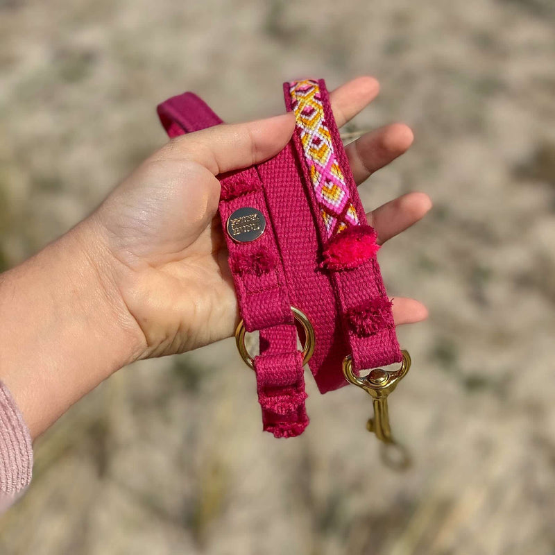 Leash NOMAD berry