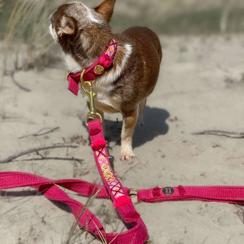 Leash NOMAD berry