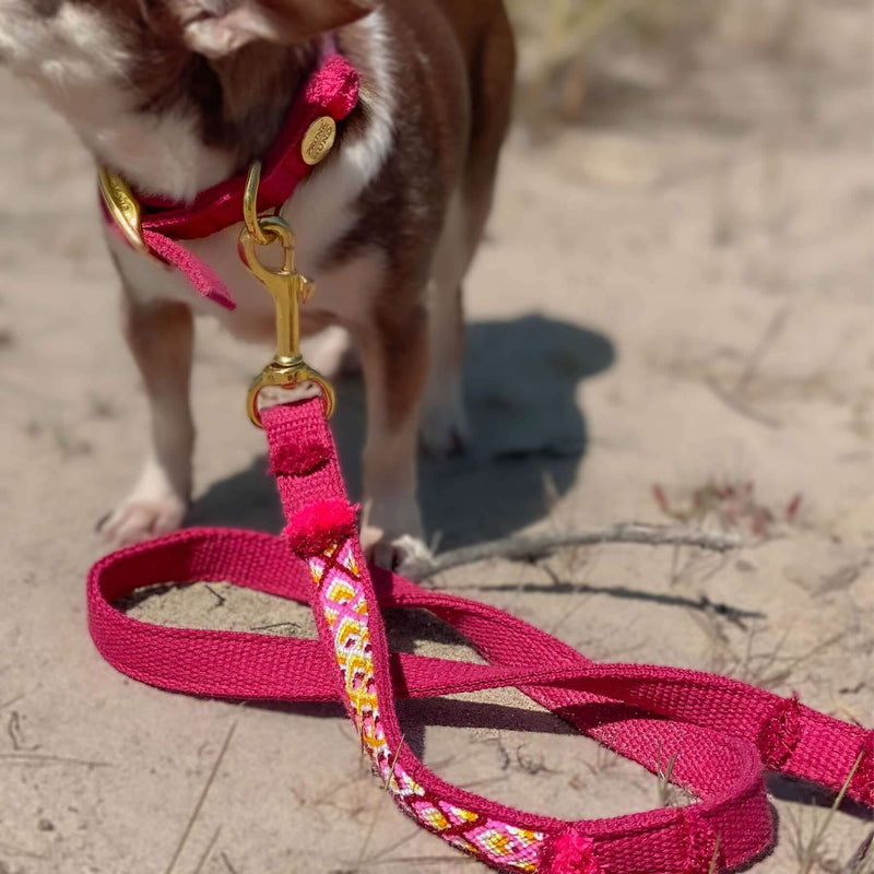 Leash NOMAD berry