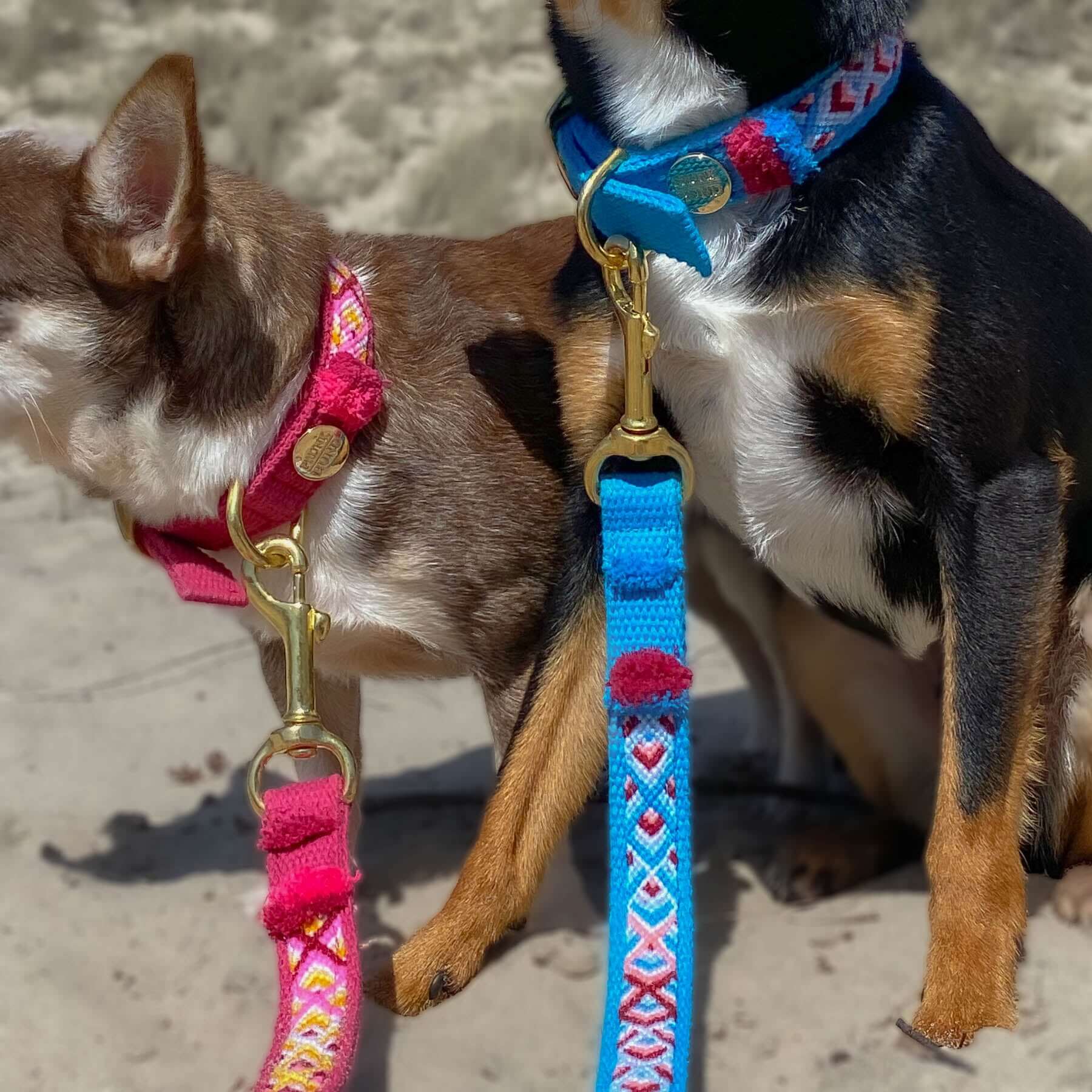 Leash NOMAD azure