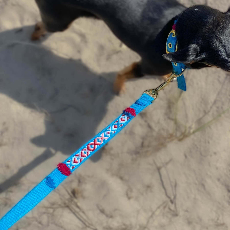 Leash NOMAD azure