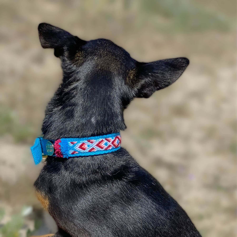 Halsband NOMAD azur
