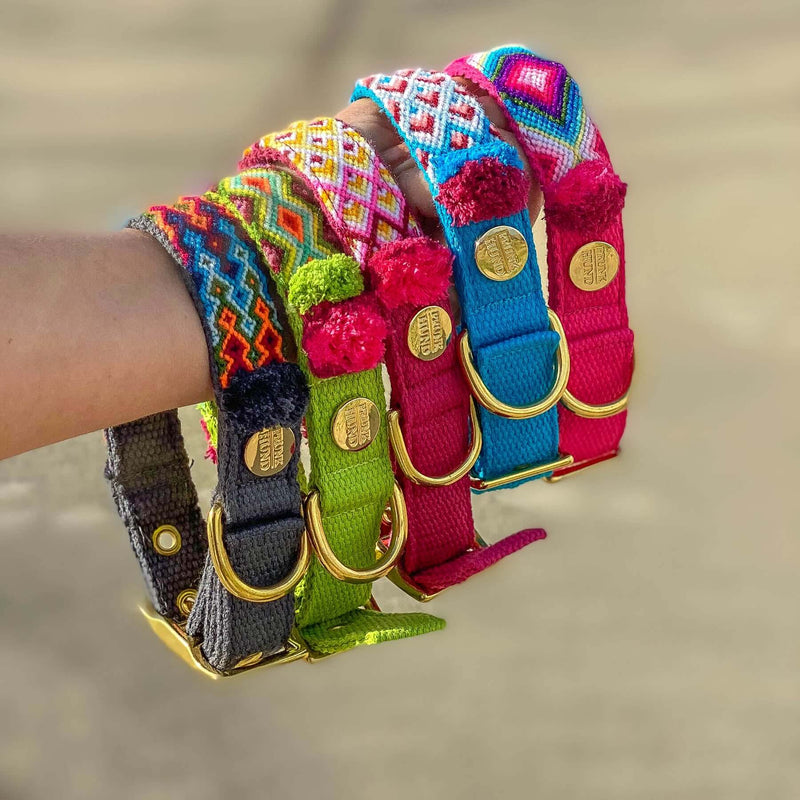 Hippie dog best sale collars