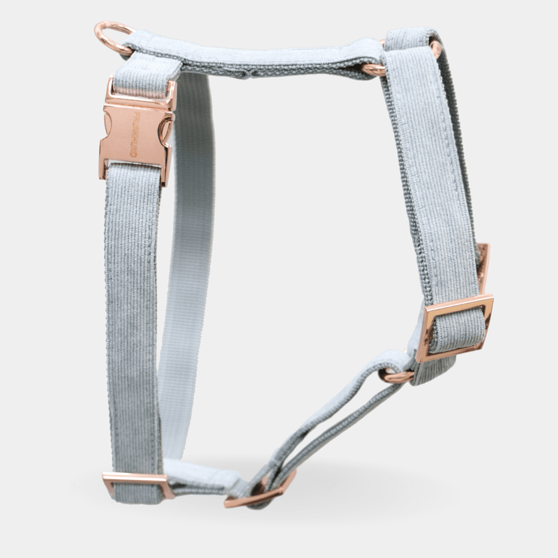 Dog harness DOVE