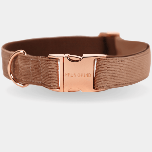 MOCCA collar