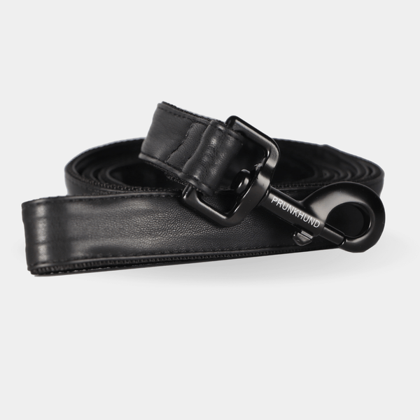 Leash DARK