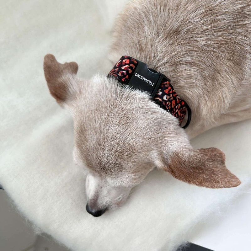 Collar MAROON