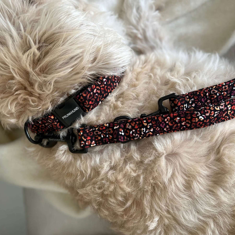 Leash CHESTNUT