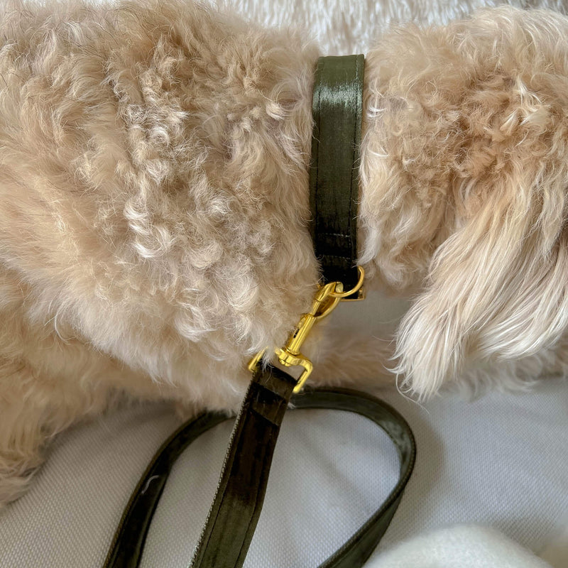 leash MOSS