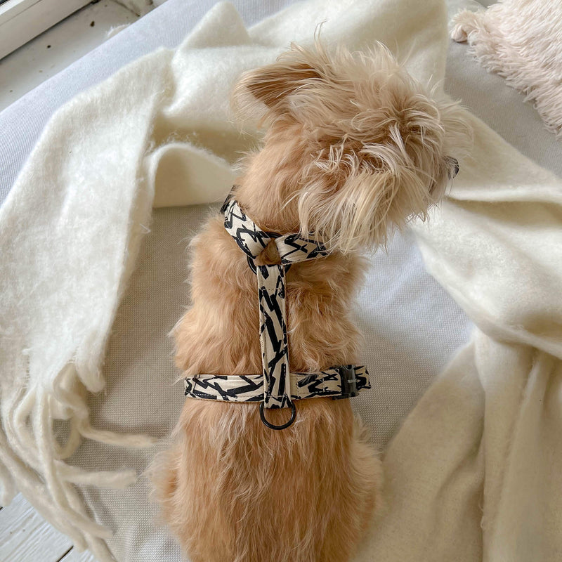 Hundegeschirr PARIS