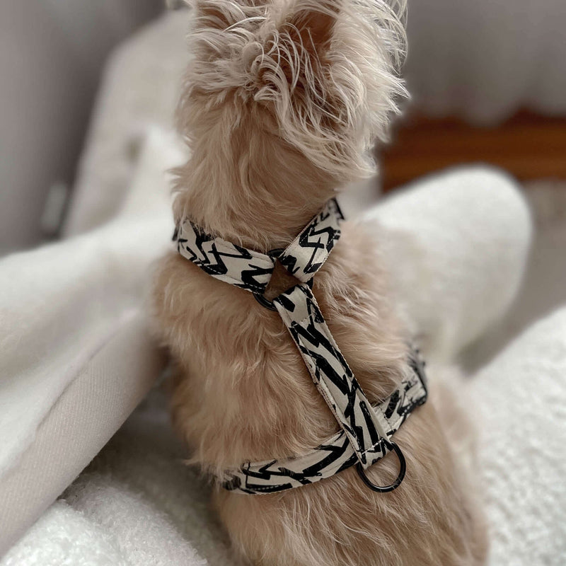 Hundegeschirr PARIS