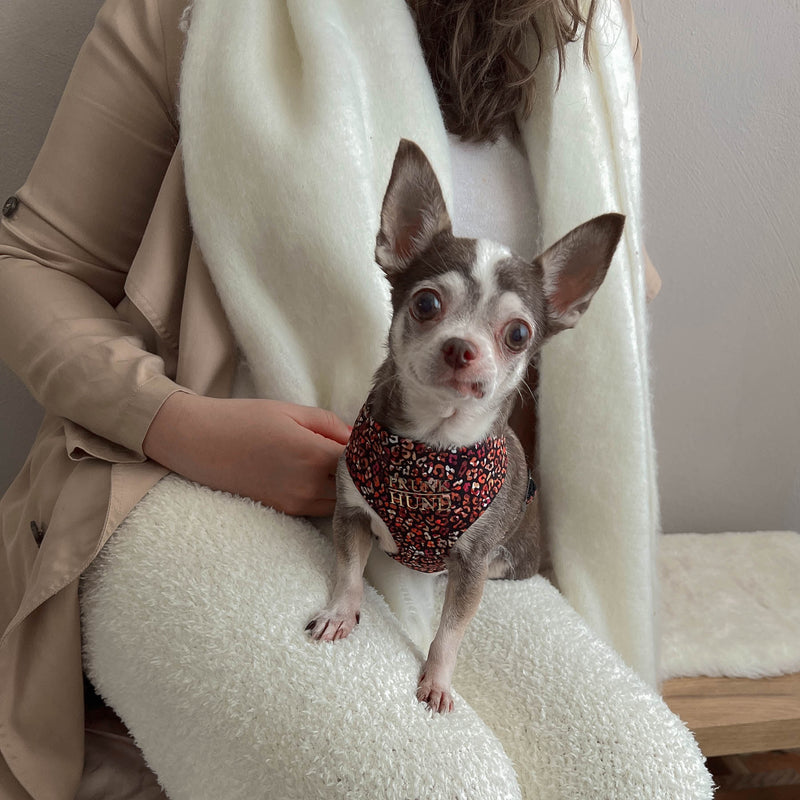 Soft harness MAROON